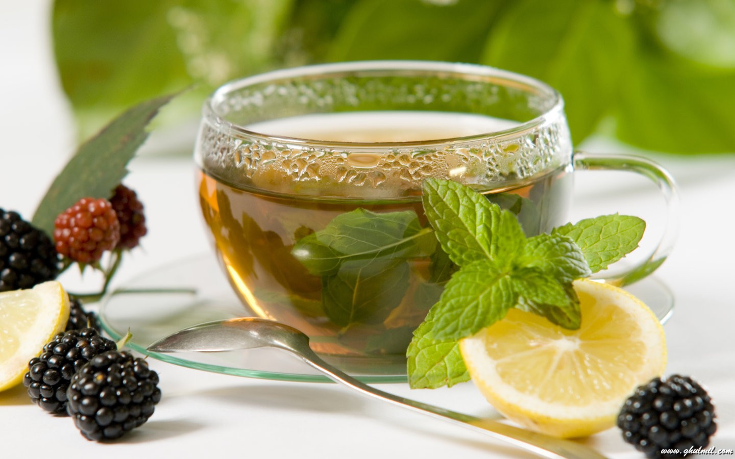 Amazing Benefits Of Drinking Green Tea